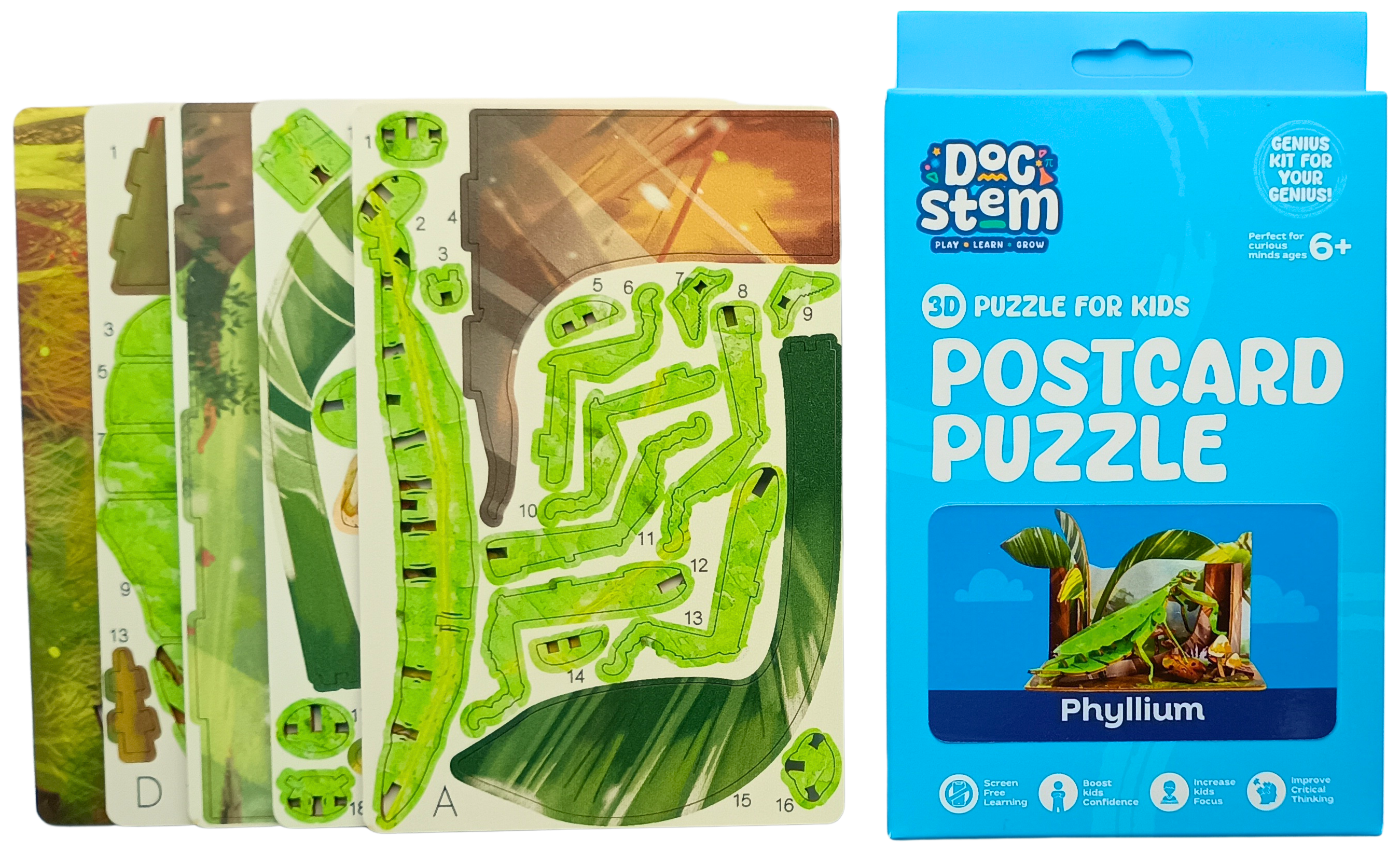 Phyllium – 3D Postcard Puzzle | STEM Education Kit | Wooden Puzzle Kit
