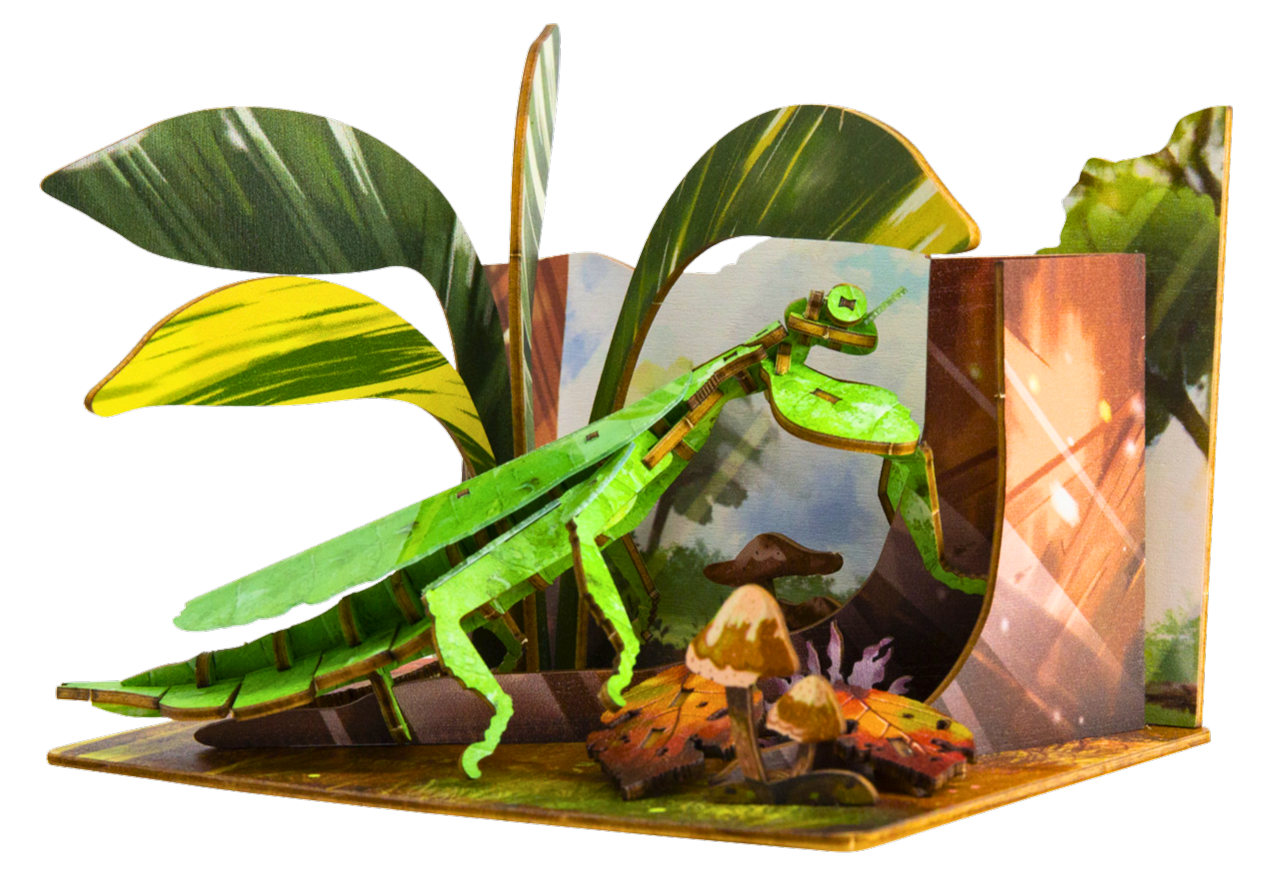 Phyllium – 3D Postcard Puzzle | STEM Education Kit | Wooden Puzzle Kit