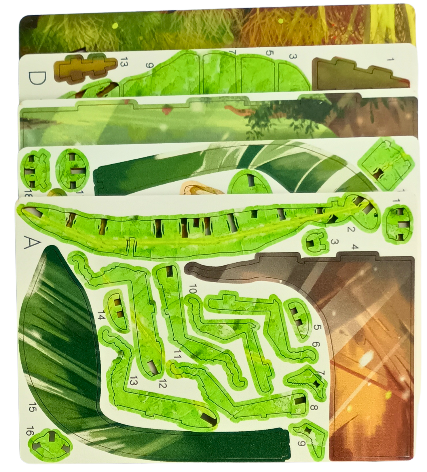 Phyllium – 3D Postcard Puzzle | STEM Education Kit | Wooden Puzzle Kit