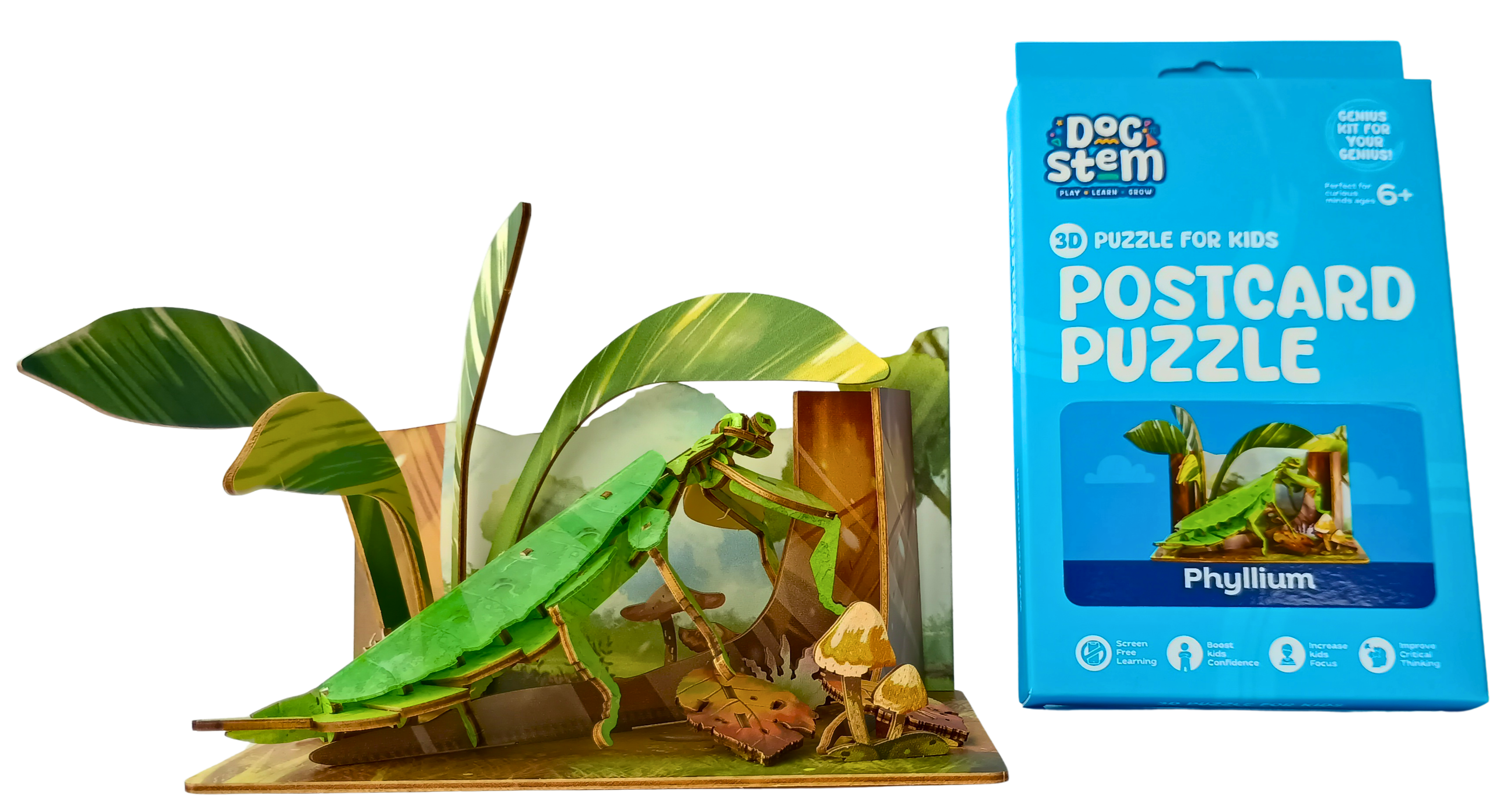 Phyllium – 3D Postcard Puzzle | STEM Education Kit | Wooden Puzzle Kit