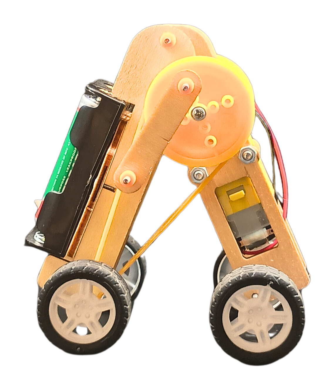 Reptile Robot - DIY Puzzle | STEM Education Kit | Wooden Puzzle Kit Educational Electronic Hobby Kit
