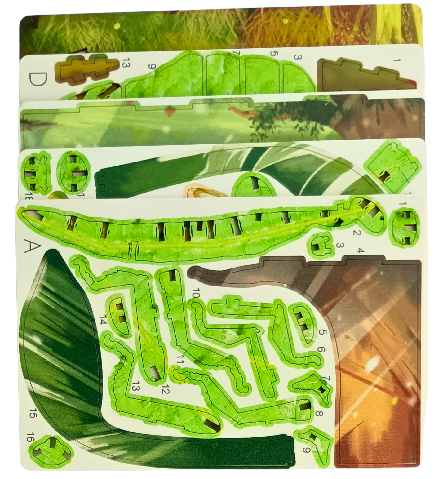 Phyllium – 3D Postcard Puzzle | STEM Education Kit | Wooden Puzzle Kit