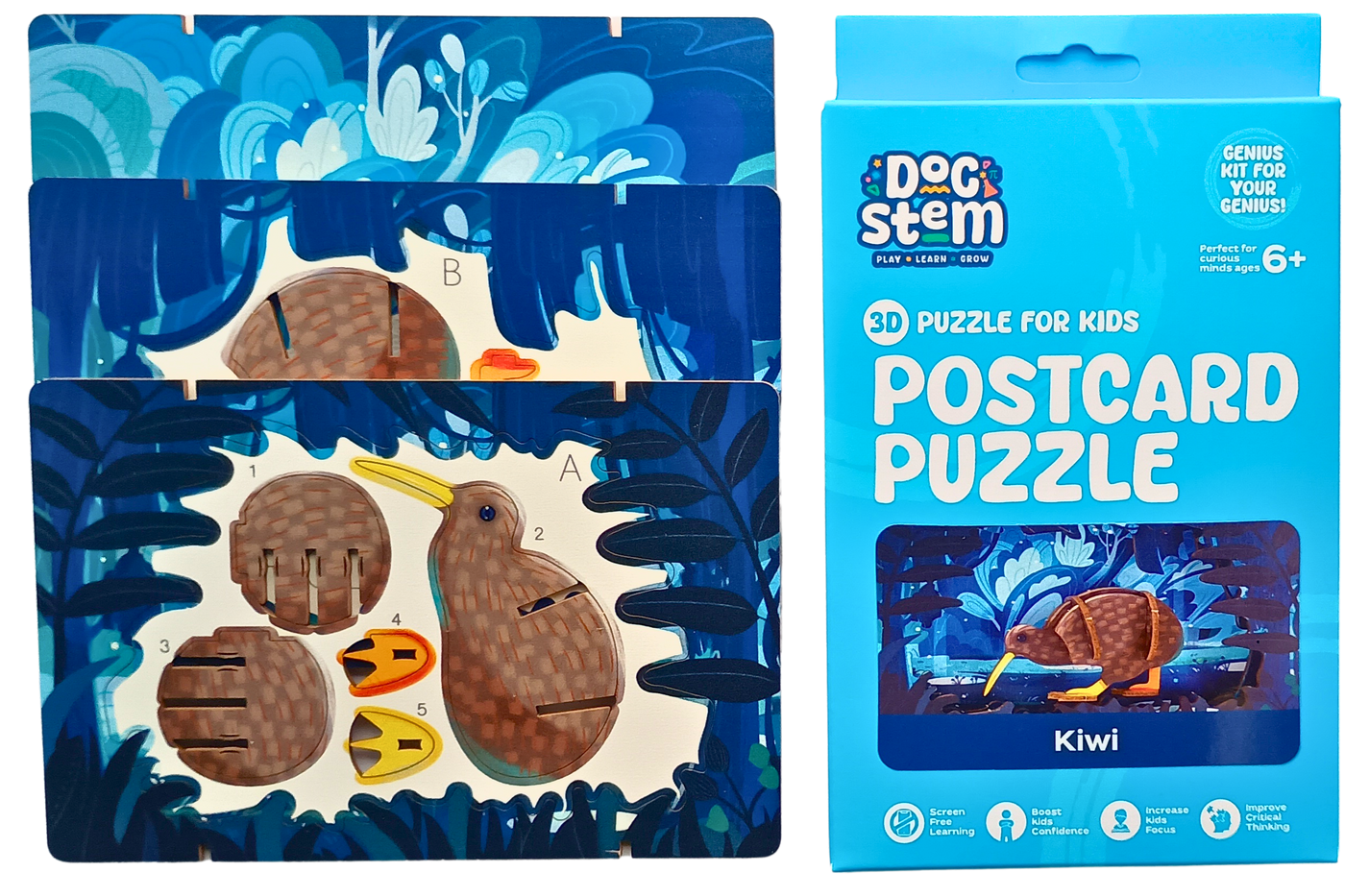 Kiwi – 3D Postcard Puzzle | STEM Education Kit | Wooden Puzzle Kit