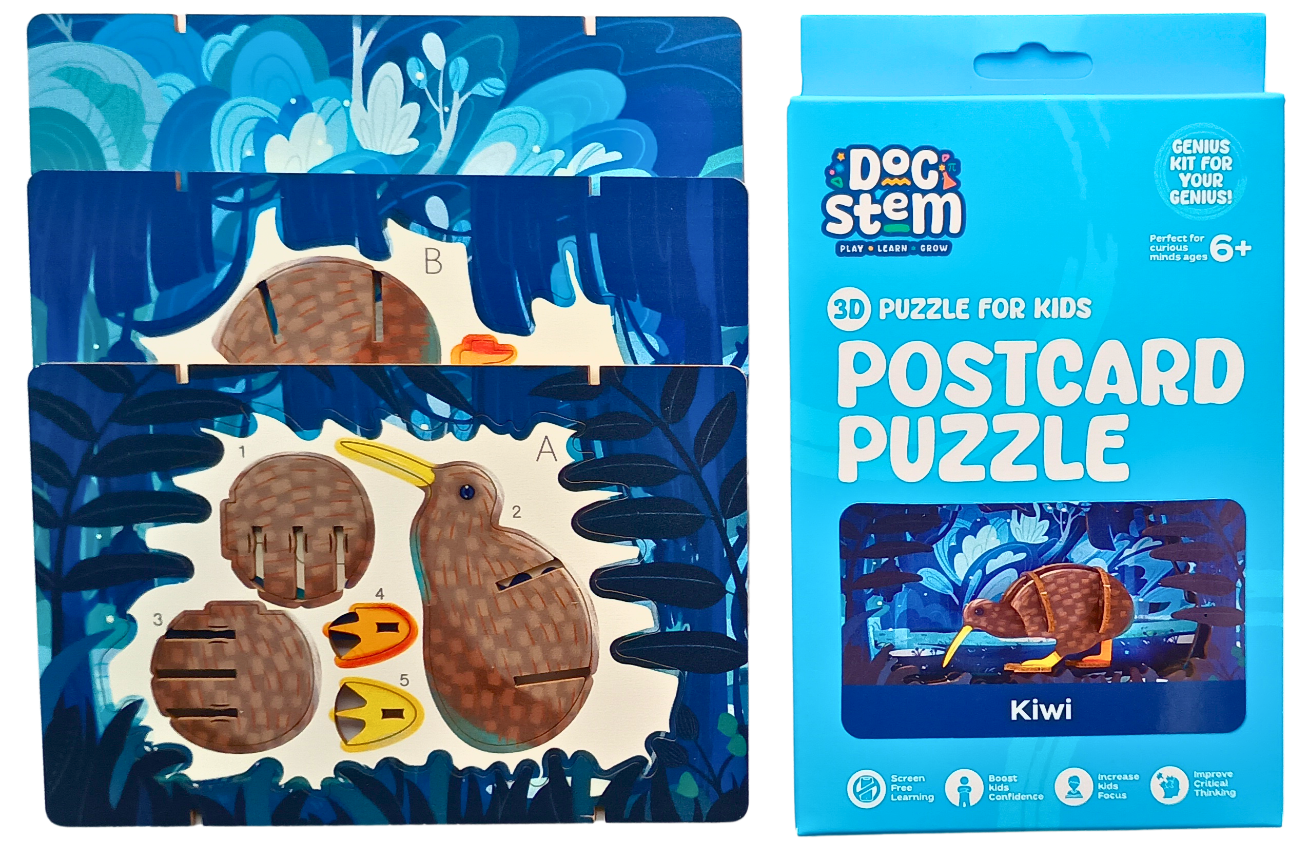 Kiwi – 3D Postcard Puzzle | STEM Education Kit | Wooden Puzzle Kit