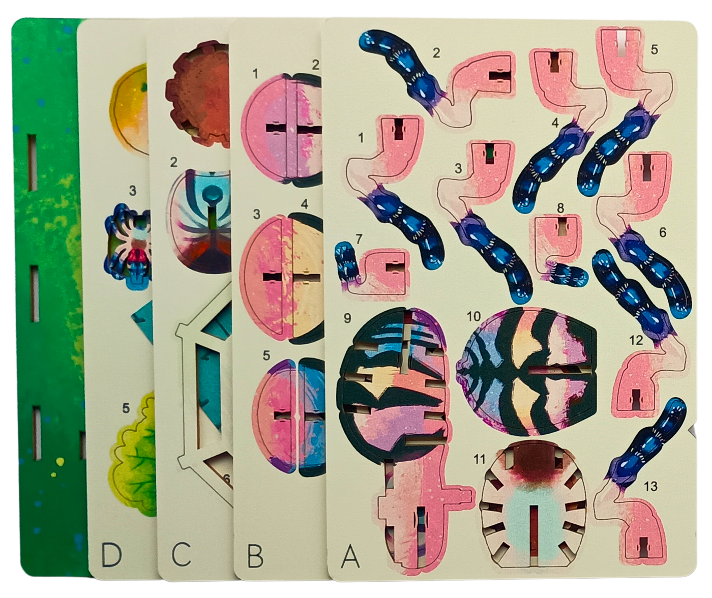 Spider - 3D Postcard Puzzle | STEM Education Kit | Wooden Puzzle Kit