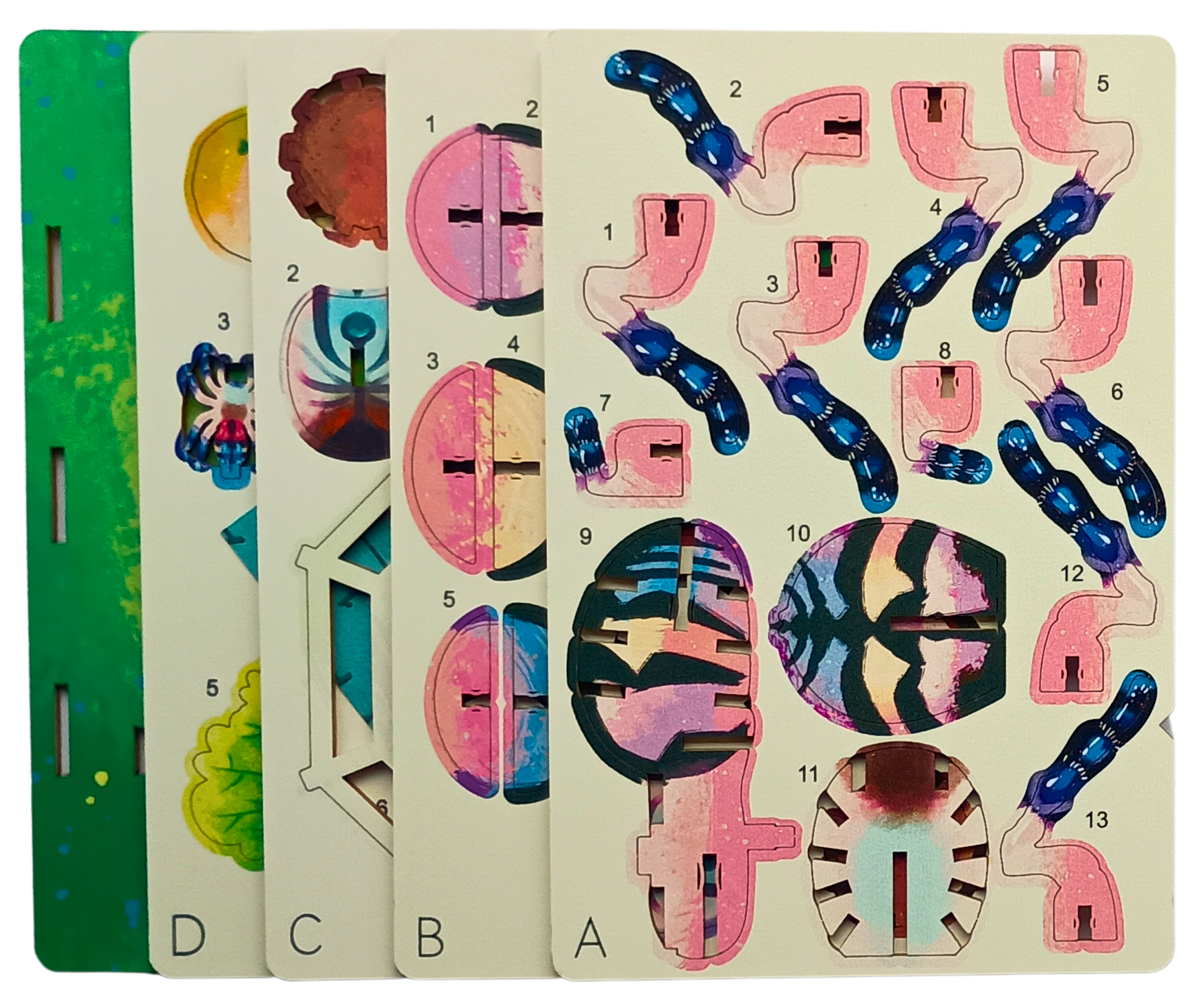 Spider - 3D Postcard Puzzle | STEM Education Kit | Wooden Puzzle Kit
