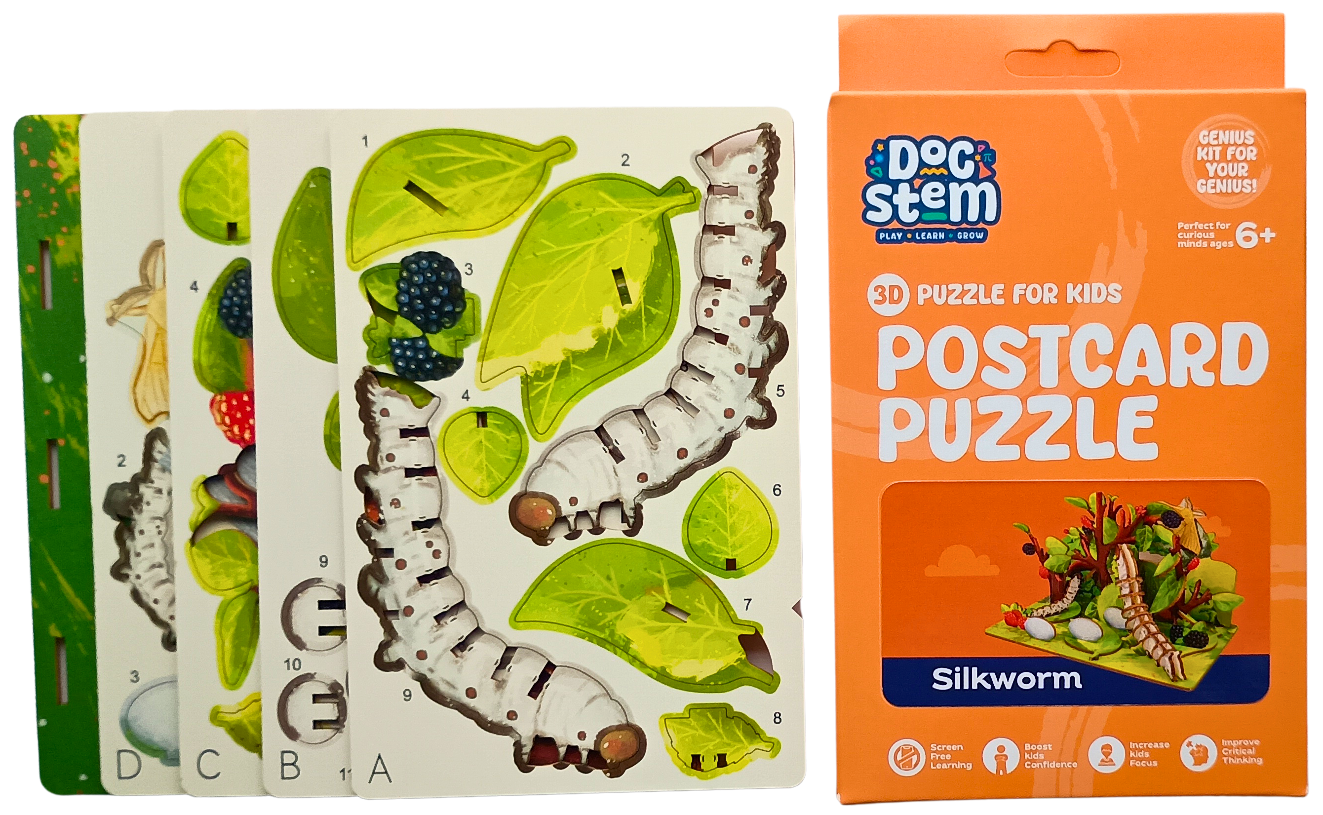 Silkworm - 3D Postcard Puzzle | STEM Education Kit | Wooden Puzzle Kit