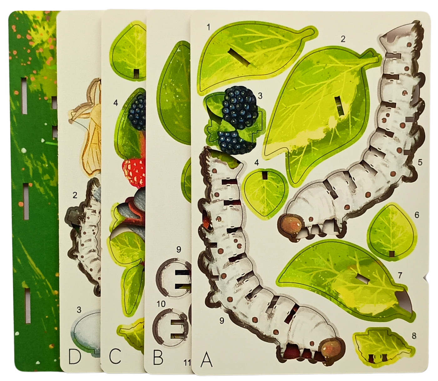 Silkworm - 3D Postcard Puzzle | STEM Education Kit | Wooden Puzzle Kit
