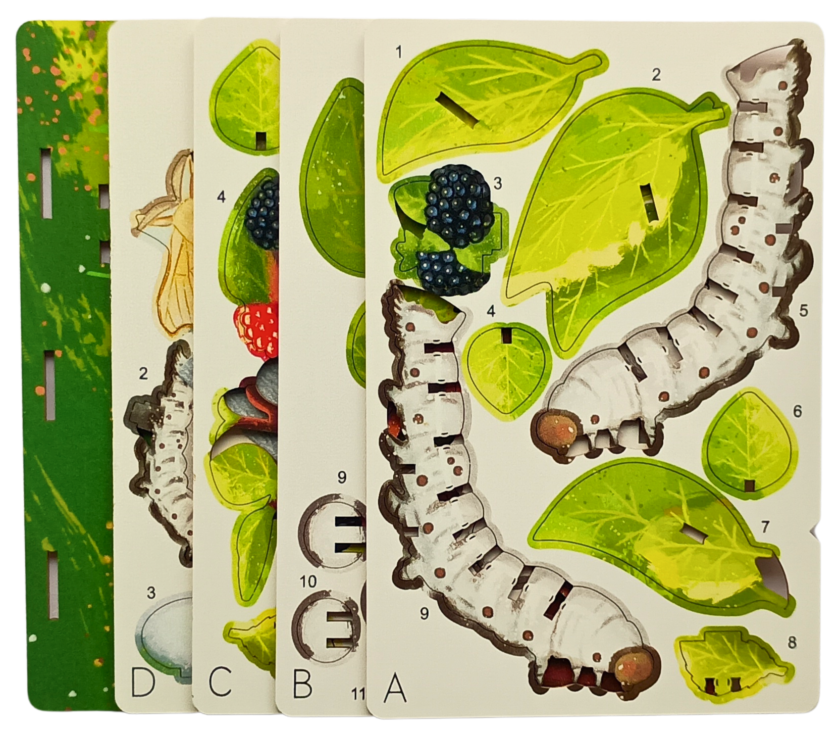 Silkworm - 3D Postcard Puzzle | STEM Education Kit | Wooden Puzzle Kit