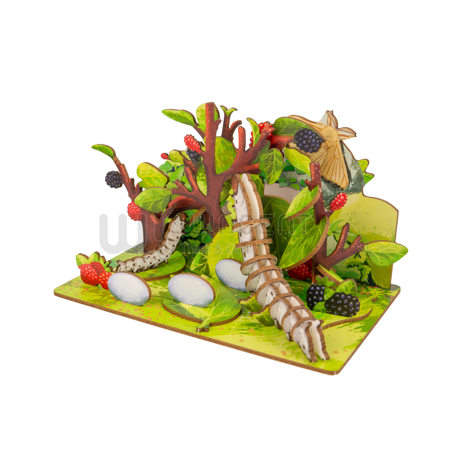 Silkworm - 3D Postcard Puzzle | STEM Education Kit | Wooden Puzzle Kit