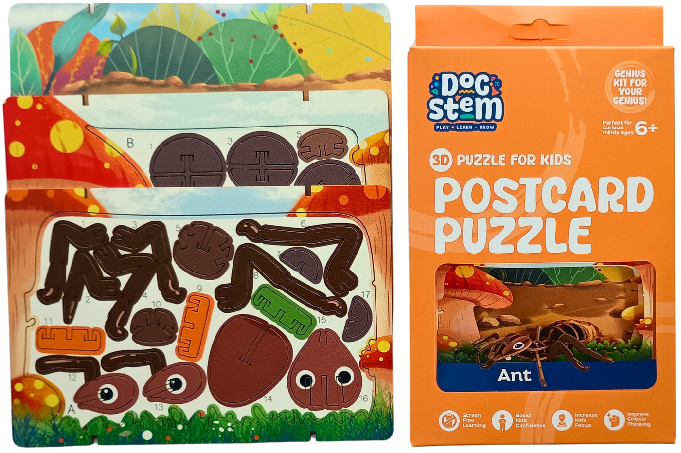 Ant – 3D Postcard Puzzle | STEM Education Kit | Wooden Puzzle Kit