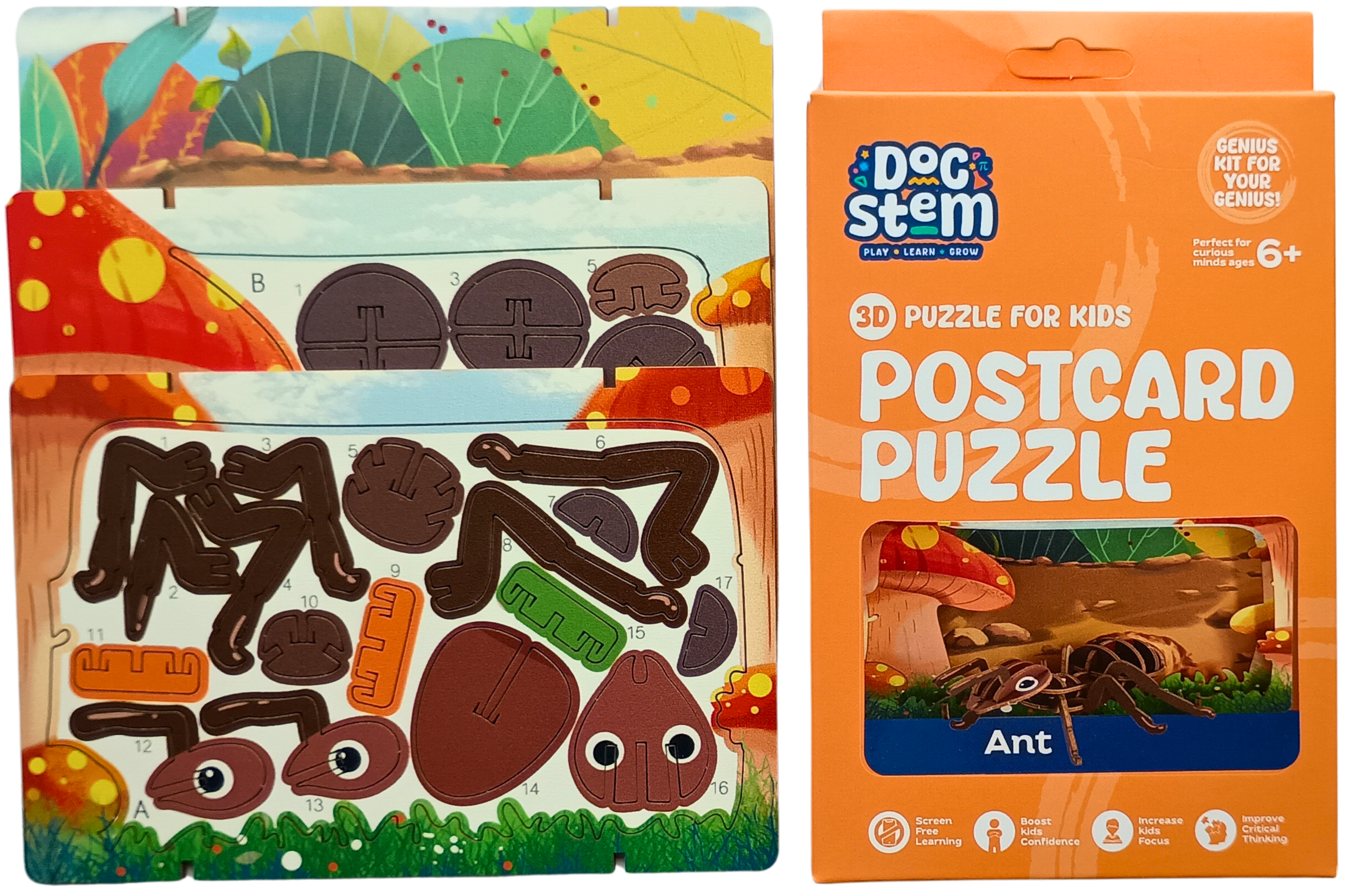 Ant – 3D Postcard Puzzle | STEM Education Kit | Wooden Puzzle Kit